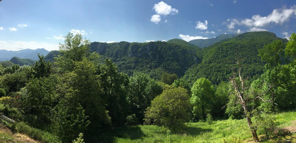 Gite De Serrelongue Montségur Екстериор снимка